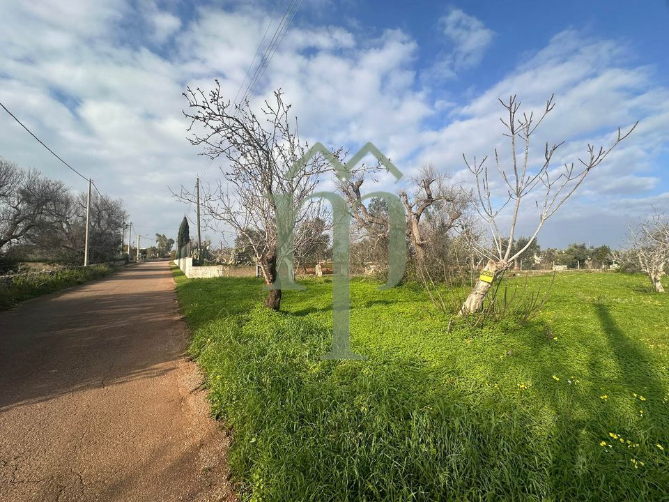 Helårsgrund i San Vito dei Normanni, Brindisi - foto 5